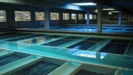 Water Projects