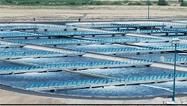 Wastewater Projects