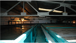Tolid Daro wastewater package